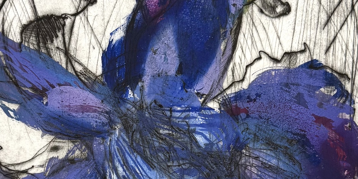 Echoes of the Dutch Iris