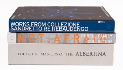 Lot 29 - Three books on collections featuring Kentridge
