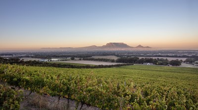 Lot 3 - The De Grendel Experience: Tour, Taste and Dine