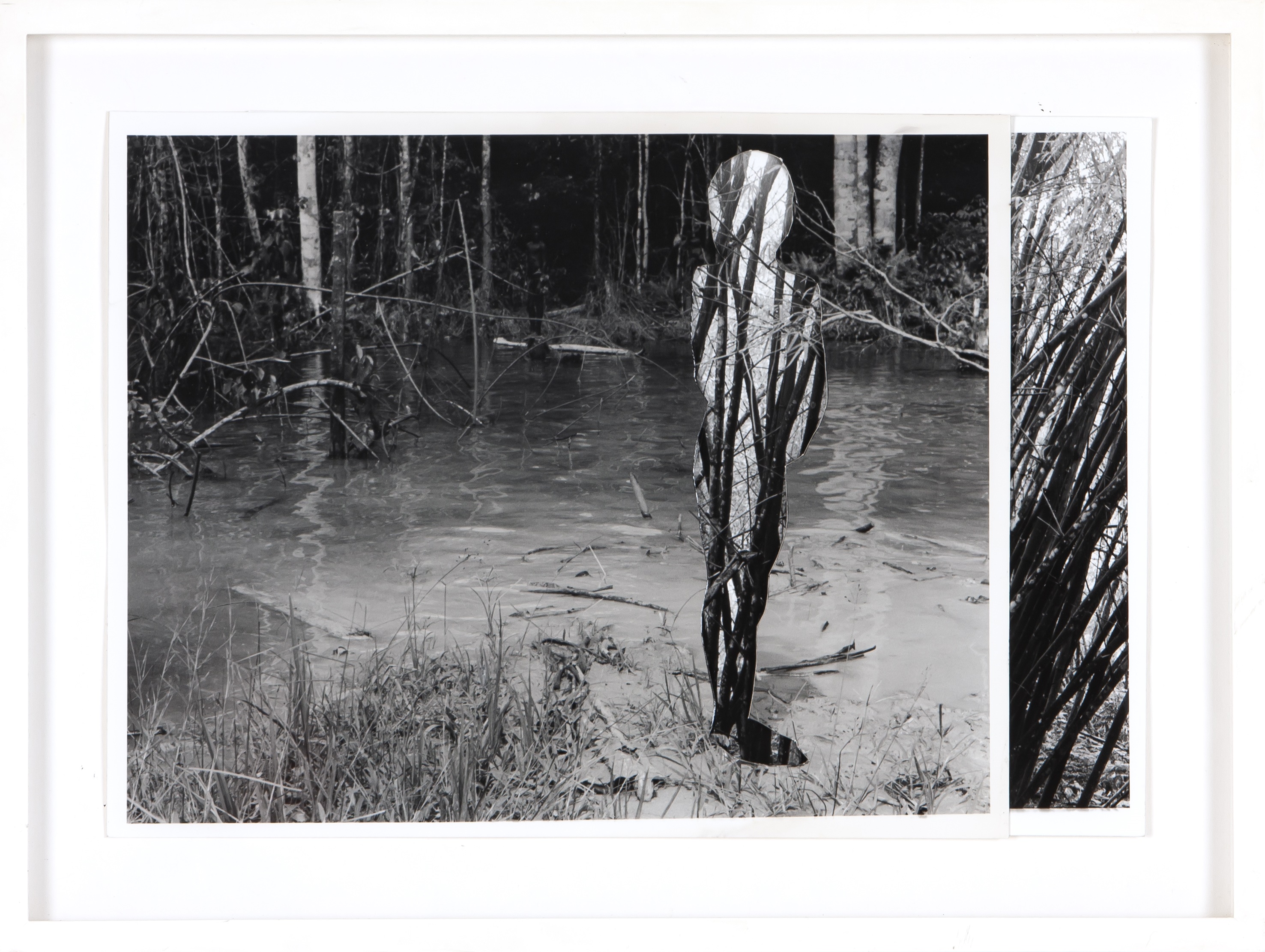 adam broomberg & oliver chanarin