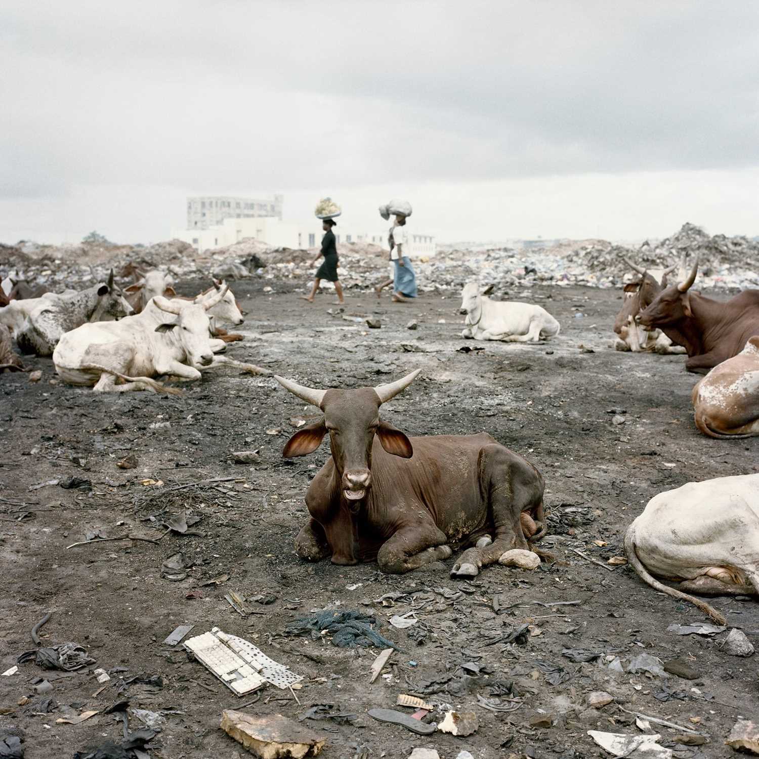 Lot 56 - Pieter Hugo (South Africa 1976-)