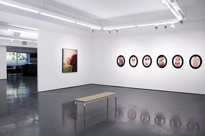 Lot 8 - Frances Goodman (South Africa 1975-)