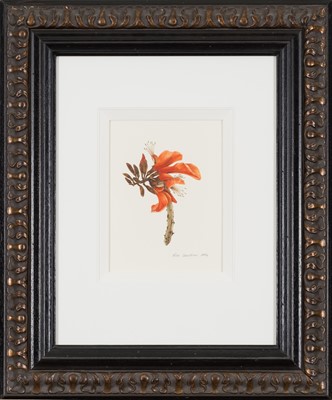 Lot 23 - Lisa Strachan (South Africa 20th Century)