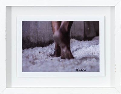 Lot 100 - Antionette McMaster (South Africa 1970-)