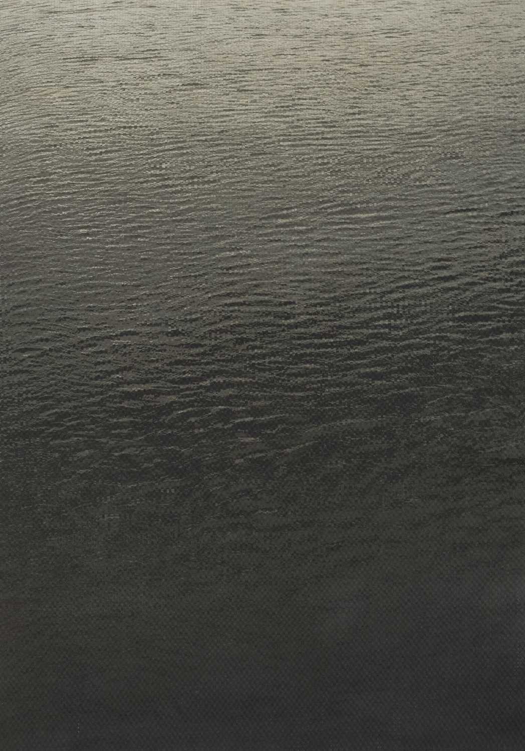 Lot 32 - Dan Halter (Zimbabwe 1977-)