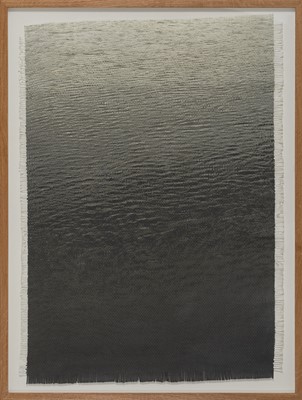 Lot 32 - Dan Halter (Zimbabwe 1977-)