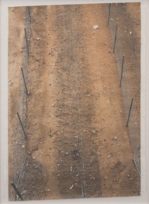 Lot 23 - Dan Halter (Zimbabwe 1977-)