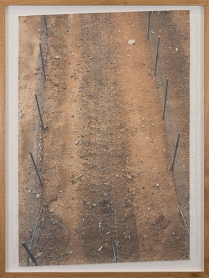 Lot 23 - Dan Halter (Zimbabwe 1977-)