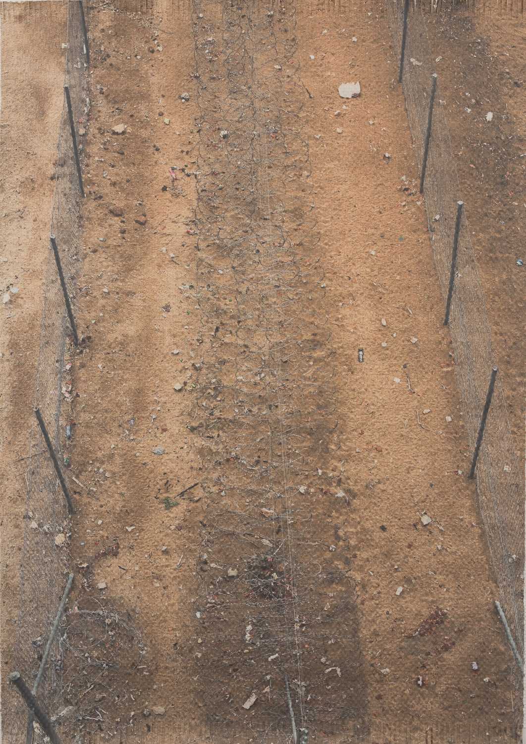 Lot 23 - Dan Halter (Zimbabwe 1977-)