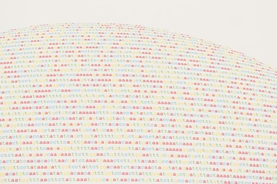 Lot 21 - Dan Halter (Zimbabwe 1977-)