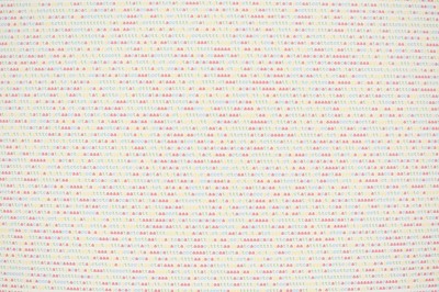 Lot 21 - Dan Halter (Zimbabwe 1977-)
