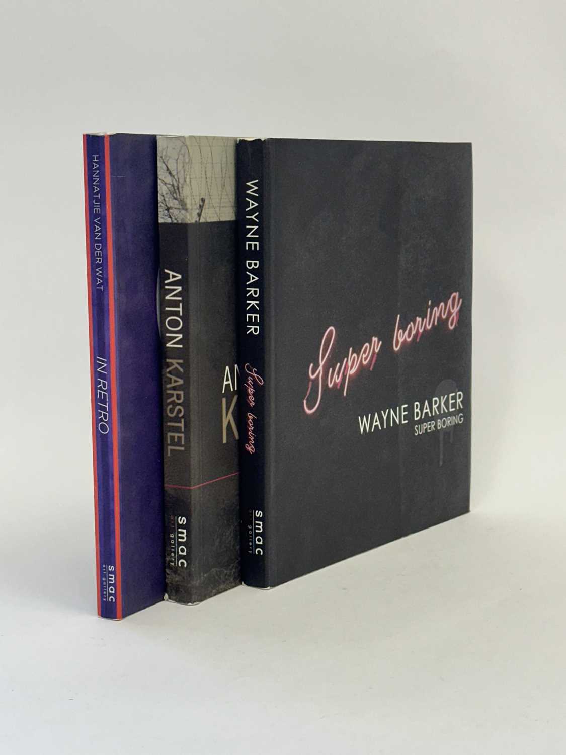 Lot 171 - 3 Retrospective Catalogues by Modern and Contemporary South African Artists