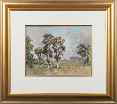 Lot 16 - Conrad Theys (South Africa 1940-)
