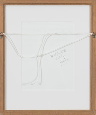 Lot 43 - David Goldblatt (South Africa 1930-2018)