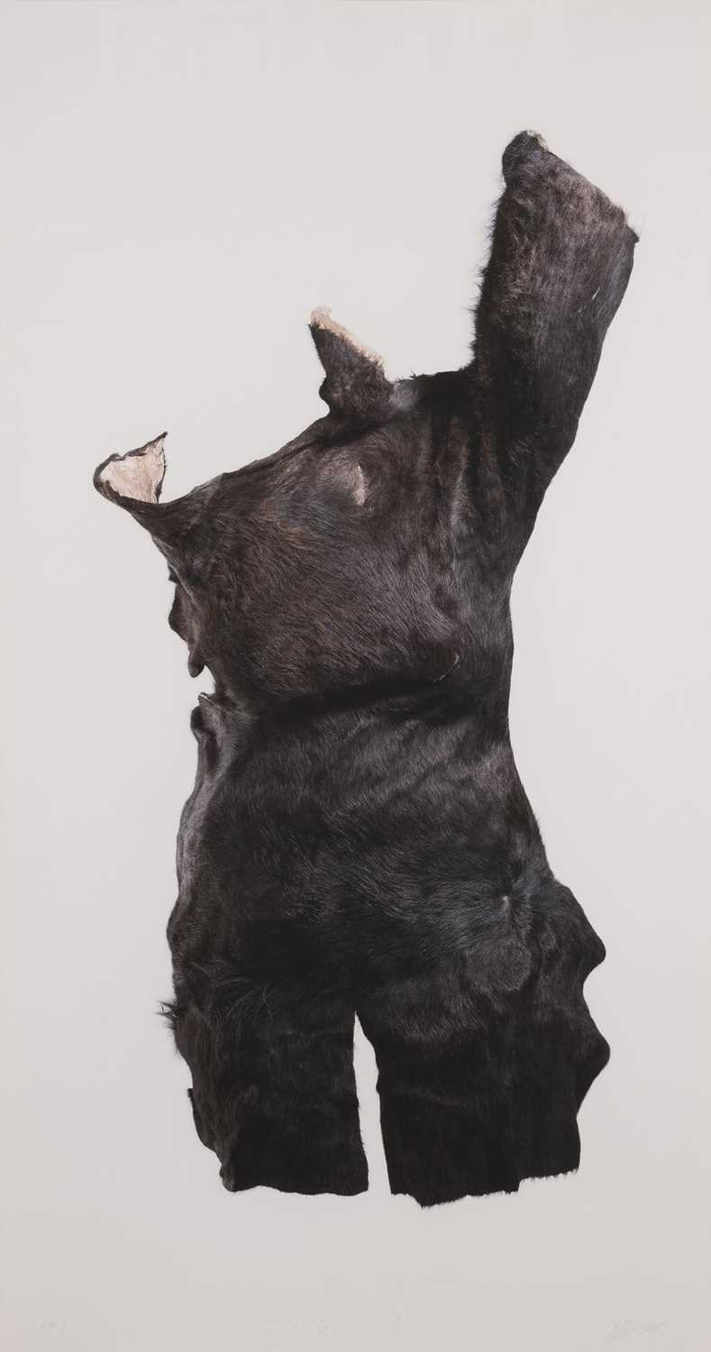 Lot 3 - Nandipha Mntambo (South Africa 1982-)