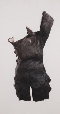 Lot 3 - Nandipha Mntambo (South Africa 1982-)
