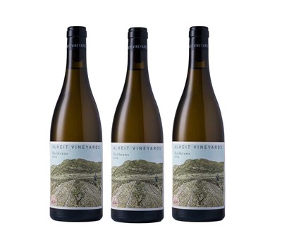 Lot 13 - Alheit Vineyards