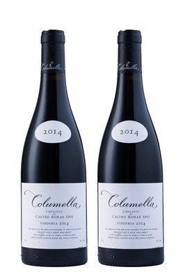 Lot 30 - Sadie Family Wines