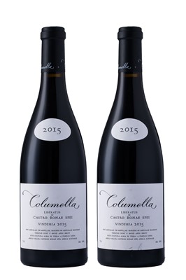 Lot 31 - Sadie Family Wines