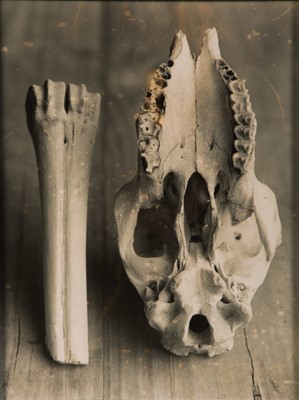 Lot 25 - Tiaan van Deventer (South Africa 1975-)
