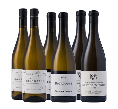 Lot 3 - Bourgogne Blanc 2022 Horizontal