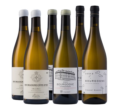 Lot 4 - Bourgogne Blanc 2023 Horizontal