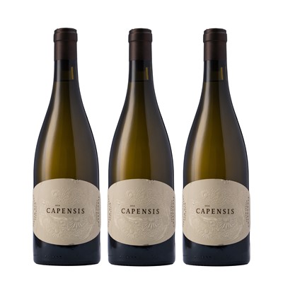 Lot 17 - Capensis