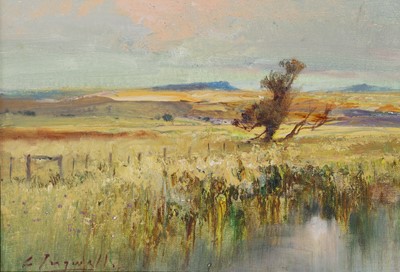 Lot 115 - Christopher Tugwell (South Africa 1938-)