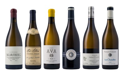 Lot 58 - South African & Loire Chenin Mixed Case (2019-2023)