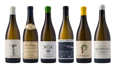 Lot 60 - Terroir Showcase 2021 (Swartland, Stellenbosch, St Helena, Montagu)