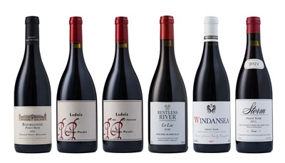Lot 82 - French & South African 2021 Pinot Noir Mixed Case