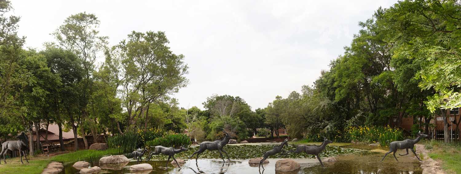 Lot 57 - Keith Calder (South Africa 1959-2025)