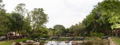 Lot 57 - Keith Calder (South Africa 1959-2025)