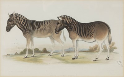Lot 74 - Unknown Artist