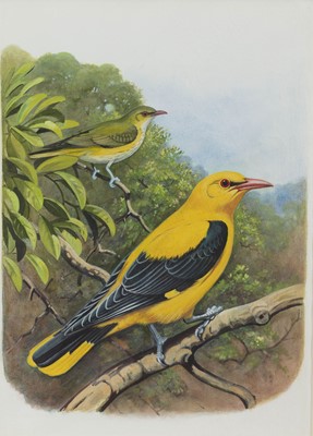 Lot 72 - Phillip Clancey (South Africa 1917-2001)