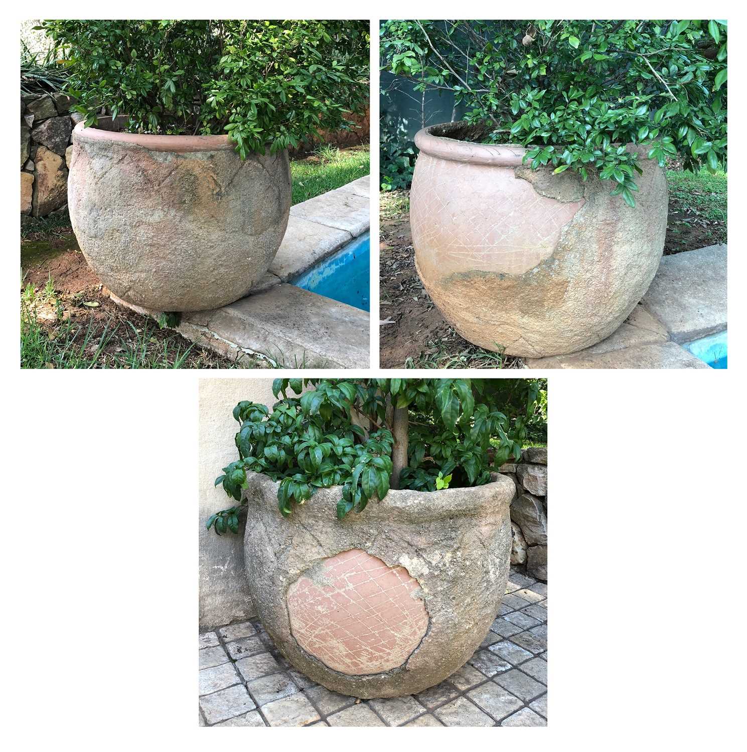 Lot 189 - Three outdoor ceramic pots with plants