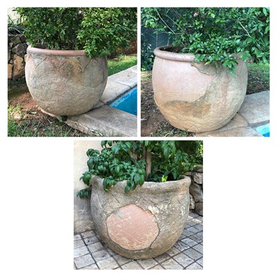 Lot 189 - Three outdoor ceramic pots with plants