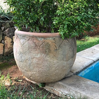 Lot 189 - Three outdoor ceramic pots with plants