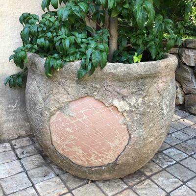 Lot 189 - Three outdoor ceramic pots with plants