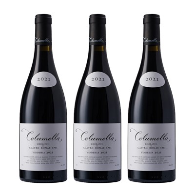 Lot 179 - Sadie Family