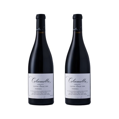 Lot 66 - Sadie Family