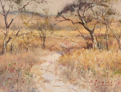 Lot 214 - Christopher Tugwell (South Africa 1938-)