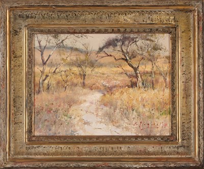 Lot 214 - Christopher Tugwell (South Africa 1938-)