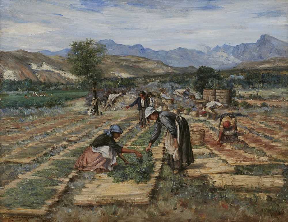 Lot 15 - Hugo Naudé (South Africa 1869-1941)