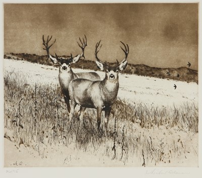 Lot 183 - Michael Coleman (United States 1964-)