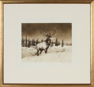 Lot 183 - Michael Coleman (United States 1964-)
