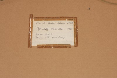 Lot 183 - Michael Coleman (United States 1964-)