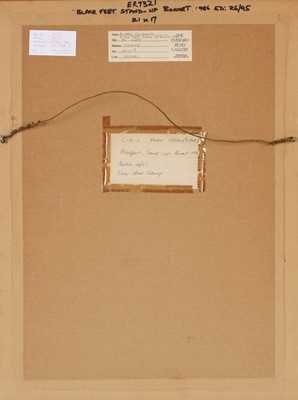 Lot 183 - Michael Coleman (United States 1964-)