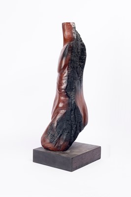 Lot 122 - Jaco Sieberhagen (South Africa 1961-)