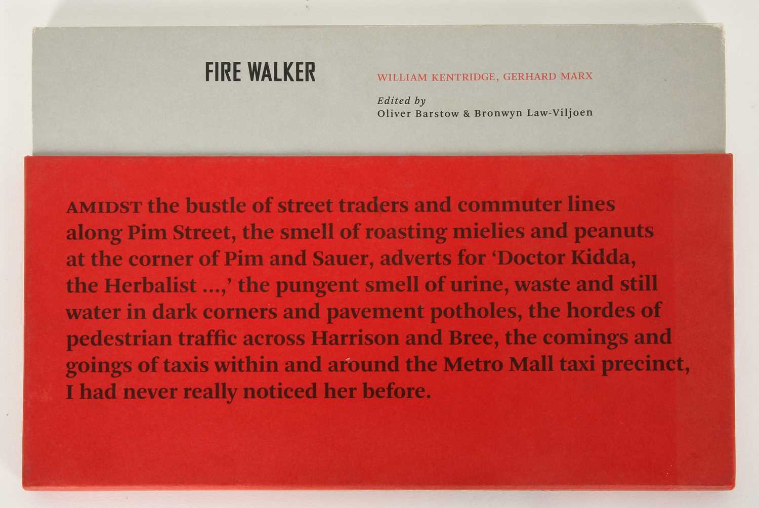 Lot 290 - William Kentridge: Fire Walker (2011) by Oliver Barstow and Bronwyn Law-Viljoen